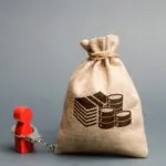 Has Your FMIS Put You in Technical Debt?