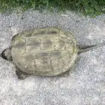 Governments Get Agile at FISC 2018