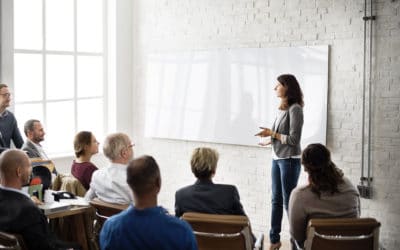 Government Capacity Building