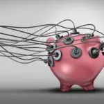 What is Performance Budgeting?