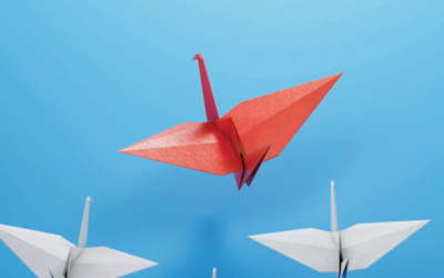 Strengthening Public Financial Management: Bridging the Implementation Gap in Global Integrity Systems