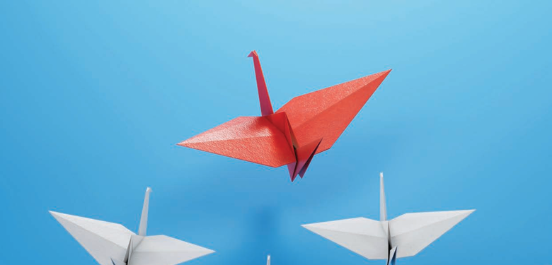 Strengthening Public Financial Management: Bridging the Implementation Gap in Global Integrity Systems